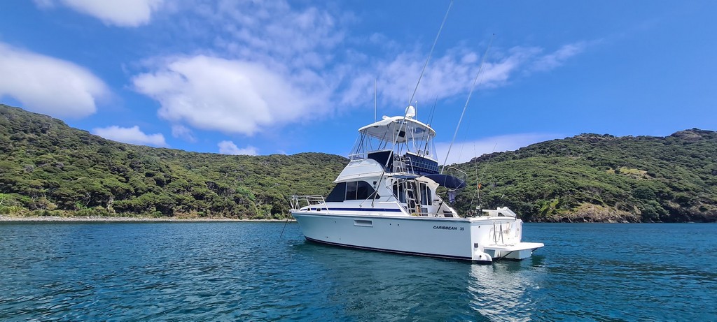 Caribbean 35 (2005) - Image 4